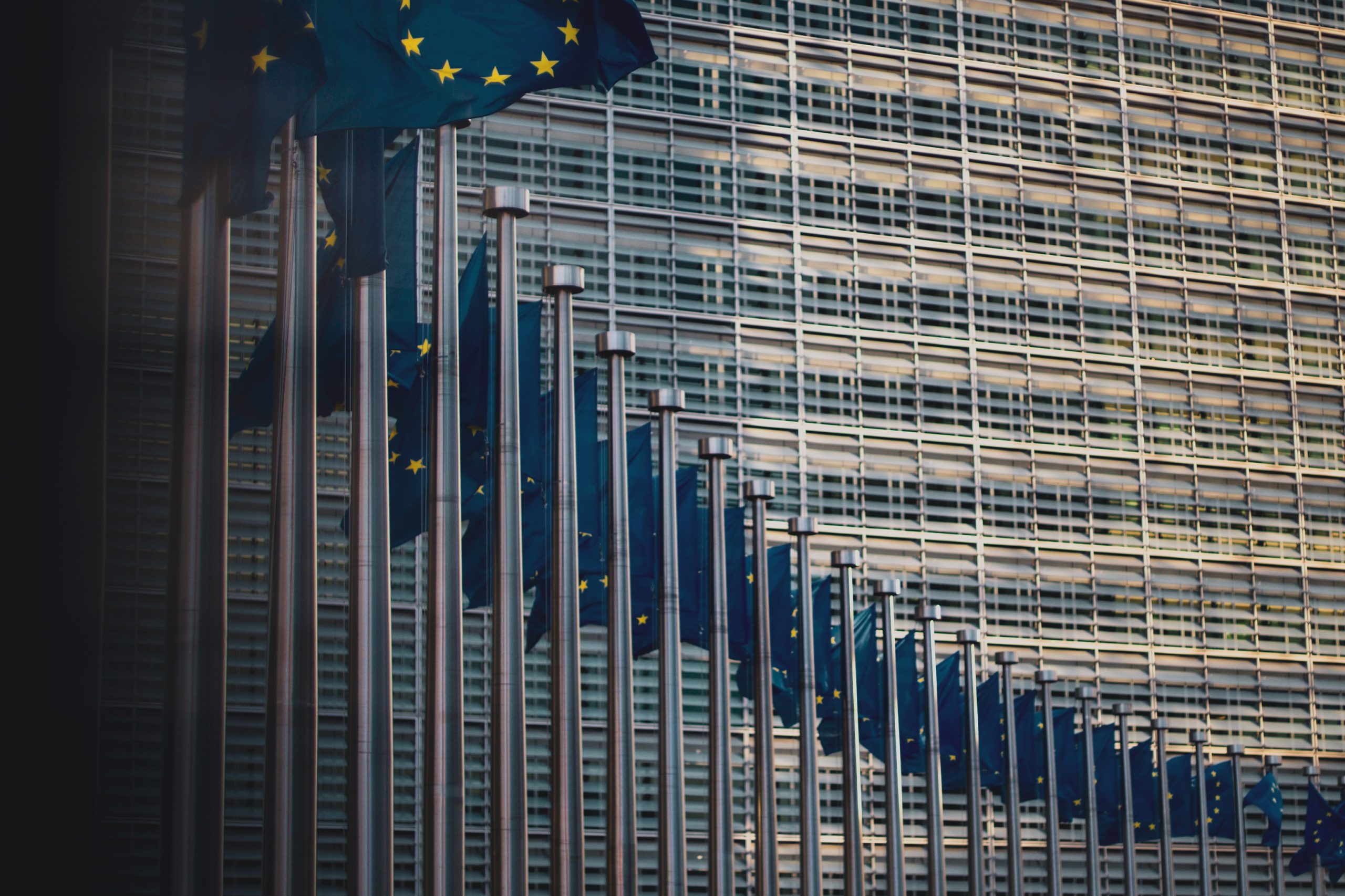 European Parliament waving EU flag